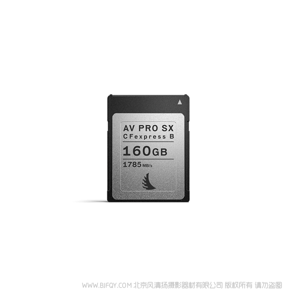 AngelBird 天使鸟 CFEXPRESS 2.0 TYPE B AV PRO CFEXPRESS SX 160 GB CFEB160GB 存储卡 闪存卡